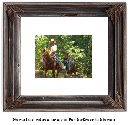 horse trail rides near me in Pacific Grove, California